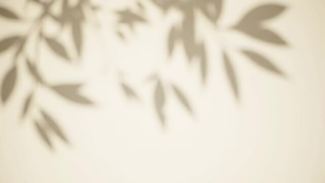 Aesthetic plant leaf shadow overlay moving on beige wall in sunlight. 4K seamless loop video for calm product mockups, minimalist backgrounds, or wellness visuals.