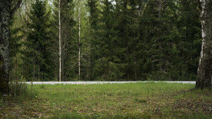 Obraz premium Side view of an empty countryside road next to a forest in Finland