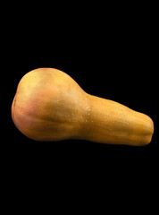 pumpkin Butternut Squash on black background