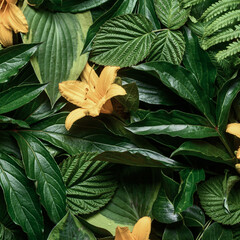 Vibrant yellow flowers nestled among diverse lush green leaves create an energizing botanical background, full of freshness and natural texture.
