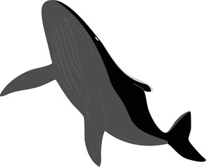 Obraz premium 역동적인 자세의 고래 실루엣