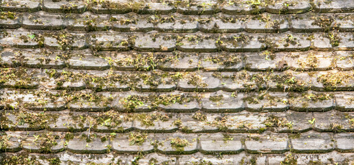 Old wooden rooftiles covered with moss and grass surface direct view