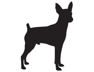 MINIATURE PINSCHER DOG SILHOUETTE