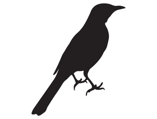 MOCKINGBIRD SILHOUETTE