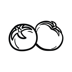 Tomato  line art illustration for coloring book