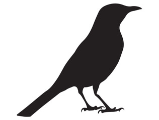 MOCKINGBIRD SILHOUETTE