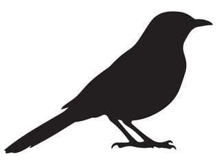 MOCKINGBIRD SILHOUETTE