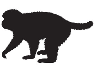 MONKEY SILHOUETTE