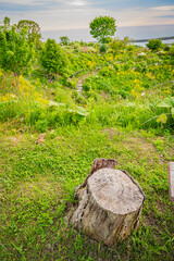 Obraz premium 北海道 浦河 ルピナスの丘