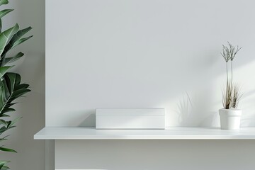 Vibrant Color Image of a Model of a Shelf with a White Box and the Word on it