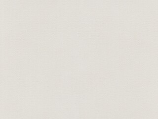 white canvas texture