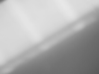 Background shadow white light wall floor backdrop overlay leaf mockup summer sunight overlay nature on room cement abstract blur muckup effect grey minimal platform for presentation product