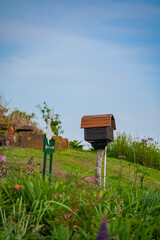 北海道　浦河　ルピナスの丘