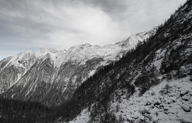 Black and White Winter Mountain Landscape 