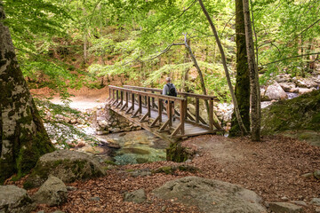 A hiker crosses a wooden bridge over the L'Agnone river in the lush forest of Vizzavona on the GR20 trail on the Mediterranean island of Corsica