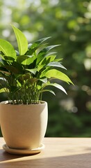 Indoor Potted Plant with Green Leaves in Beige Ceramic Pot