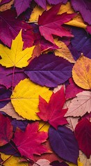 Autumn Leaves in Vibrant Colors