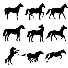 Horse icon vector
