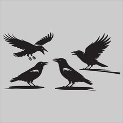 Fototapeta premium Majestic Raptor