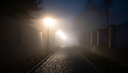 Mysterious Foggy Night Path Cobblestone Street Lamplight.