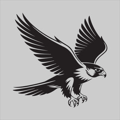 Obraz premium Eagle's Gaze