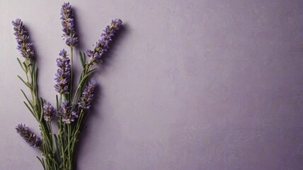 Fototapeta premium Lavender sprigs on a muted purple background