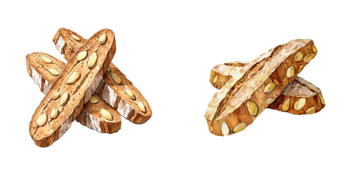 almond biscotti watercolor vector illustration