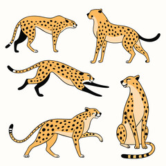 Cartoon Cheetahs in Various Poses Including Walking Sitting Crouching and Running on a White Background