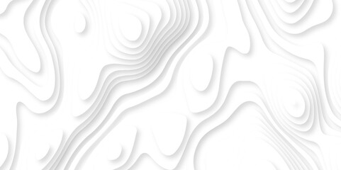 Papercut layers and paper cut topography vector art background banner texture. Abstract white paper cut background with realistic shapes. Modern vector illustration for concept design.