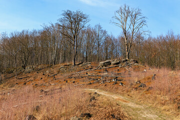 Autumn landscape with bare trees and rocky terrain under blue sky