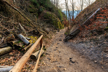 Serene forest path in autumn with fallen leaves and wooden rail