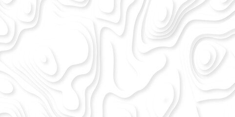 Papercut layers and paper cut topography vector art background banner texture. Abstract white paper cut background with realistic shapes. Modern vector illustration for concept design.