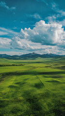 Fototapeta premium Vast Green Landscape Under a Dramatic Sky