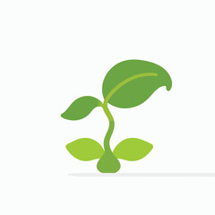 Sprout with Green Leaves, Springtime Growth on White