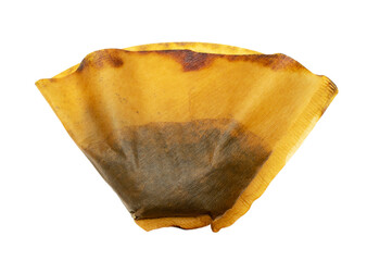 coffee filter used on white background