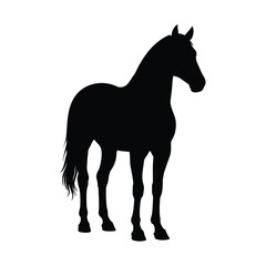 horse silhouette isolated on white
