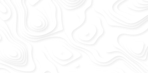 Papercut layers and paper cut topography vector art background banner texture. Abstract white paper cut background with realistic shapes. Modern vector illustration for concept design.