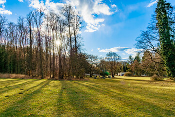 Sunny winter landscape with trees and green field in a park setting