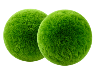 Pair of Soft Green Plush Fabric Balls with Fluffy Texture, isolated on transparent background