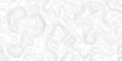 Vector geographic contour map. Topography map background. white wave seamless line. Topography relief. White wave paper curved reliefs abstract. Topographic map patterns, topography line map.