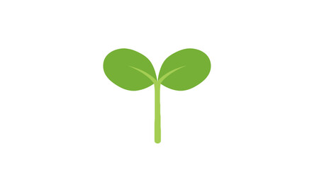 Green sprout with two leaves on white background  