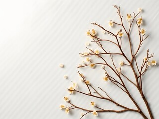 Natural Flatlay with Mixed Tree Branches on Linen: Flatlay of various small tree branches and twigs placed organically on a neutral linen fabric background with soft daylight.