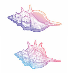 Hand-Drawn Seashell with Gradient Colors

