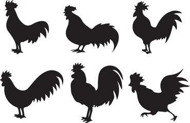 rooster and hens