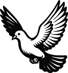 Pigeon bird flying  - Dove bird on transparent background