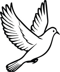 Pigeon bird flying  - Dove bird on transparent background