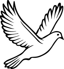 Pigeon bird flying  - Dove bird on transparent background