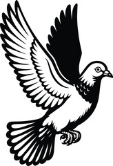 Fototapeta premium Pigeon bird flying - Dove bird on transparent background
