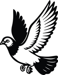 Obraz premium Pigeon bird flying - Dove bird on transparent background