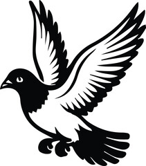 Pigeon bird flying  - Dove bird on transparent background